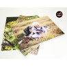 Εκτυπωση φωτογραφιων 10x15cm 0,30€